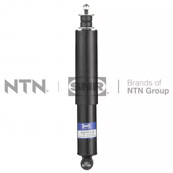 Jeu de 2 amortisseurs avant SNR