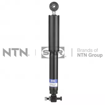 Jeu de 2 amortisseurs arrière SNR