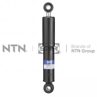 Jeu de 2 amortisseurs arrière SNR