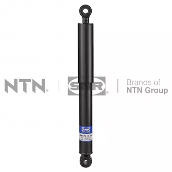 Jeu de 2 amortisseurs arrière SNR