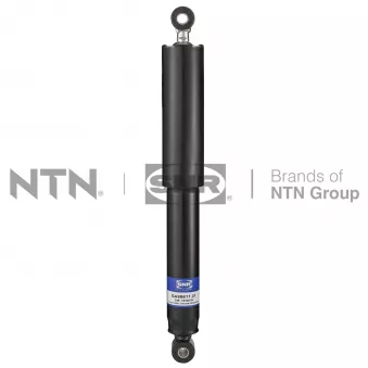 Jeu de 2 amortisseurs arrière SNR