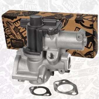 Vanne EGR ET ENGINETEAM