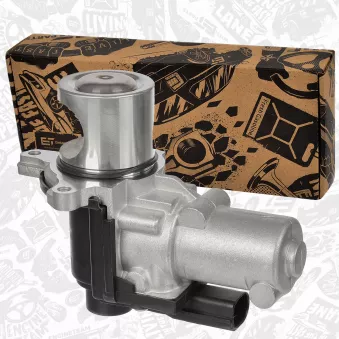 Vanne EGR ET ENGINETEAM