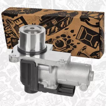 Vanne EGR ET ENGINETEAM