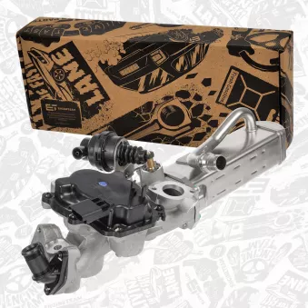 Module-EGR ET ENGINETEAM ED0300