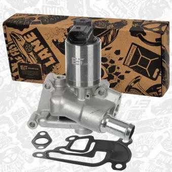 Vanne EGR ET ENGINETEAM