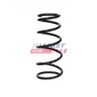 Ressort de suspension FAST FT01983 - Visuel 3