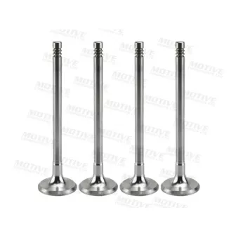 Distributeur, volet gaz d'échappement MOTIVE EV9429