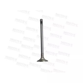 Distributeur, volet gaz d'échappement MOTIVE EV9523