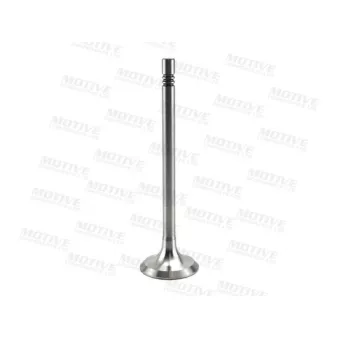 Distributeur, volet gaz d'échappement MOTIVE EV9692