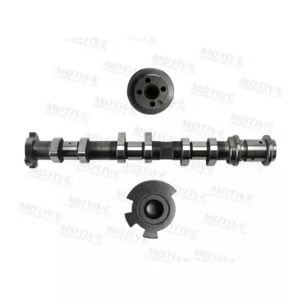 Arbre à came MOTIVE T4529