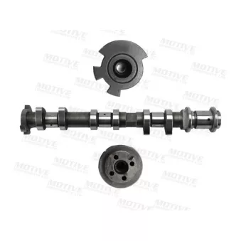 Arbre à came MOTIVE T4530