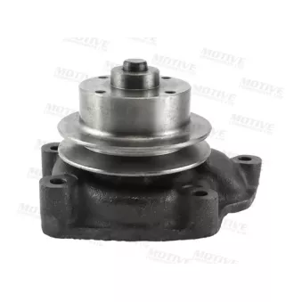 Pompe à eau MOTIVE WP1164