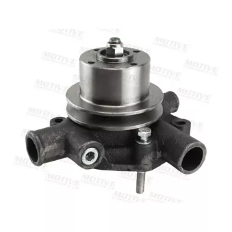 Pompe à eau MOTIVE WP1320