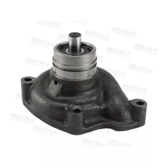 Pompe à eau MOTIVE WP2117