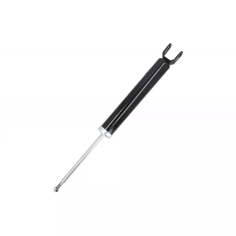 Jeu de 2 amortisseurs arrière DACO Germany 561311