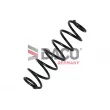Ressort de suspension DACO Germany 814214 - Visuel 2