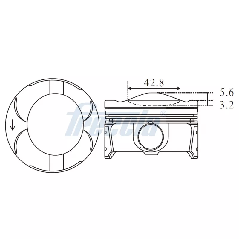 Piston FRECCIA FP23-102100