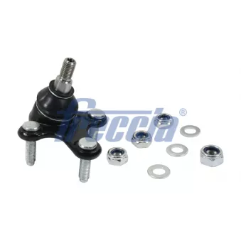 Rotule de suspension avant droit FRECCIA