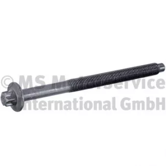 Vis de culasse KOLBENSCHMIDT