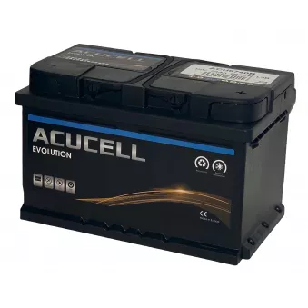 Batterie de démarrage 74ah LB3 ACUCELL