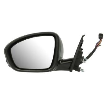 Rétroviseur extérieur BLIC 5402-08-1141317P