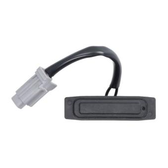 Poignée extérieure de porte BLIC 6010-16-1018417P