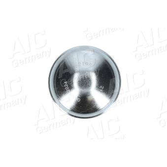 Couvercle de protection, moyeu de roue AIC 52196
