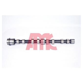 Arbre à came AMC 647272