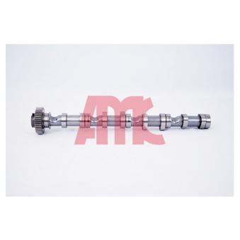 Arbre à came AMC 647290