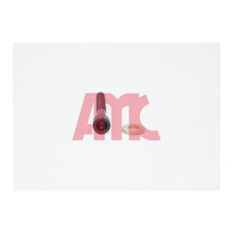 Jeu de boulons de culasse de cylindre AMC 258164