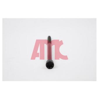 Jeu de boulons de culasse de cylindre AMC 258018