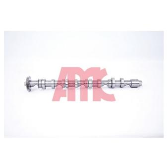 Arbre à came AMC 647291