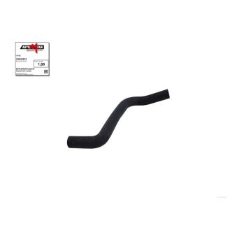 Durite de radiateur AUTOMEGA 160043810