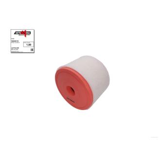 Filtre à air AUTOMEGA