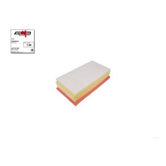 Filtre à air AUTOMEGA