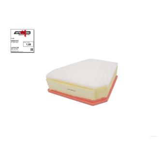 Filtre à air AUTOMEGA 250051010