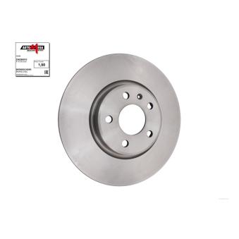 Jeu de 2 disques de frein avant AUTOMEGA 250280510