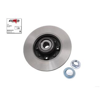 Jeu de 2 disques de frein arrière AUTOMEGA 271736610