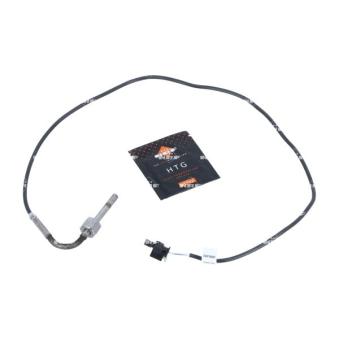 Capteur, température des gaz NRF