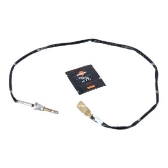 Capteur, température des gaz NRF