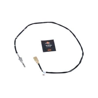 Capteur, température des gaz NRF