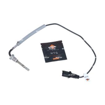 Capteur, température des gaz NRF