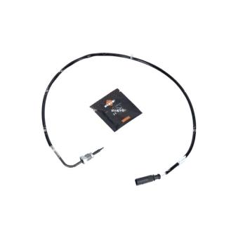 Capteur, température des gaz NRF 707363