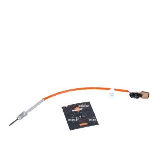 Capteur, température des gaz NRF
