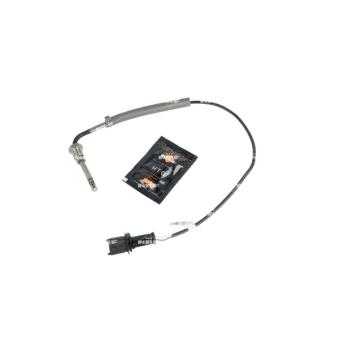 Capteur, température des gaz NRF