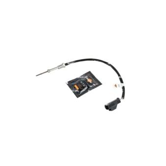 Capteur, température des gaz NRF