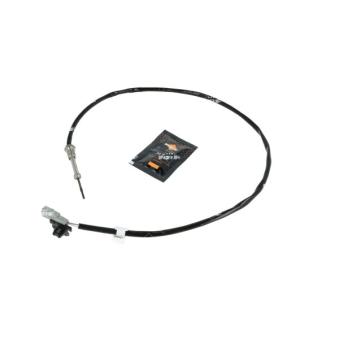 Capteur, température des gaz NRF