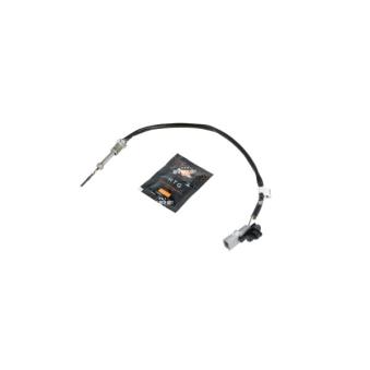 Capteur, température des gaz NRF