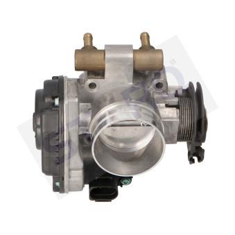 Corps papillon STARQ SQ323-01123